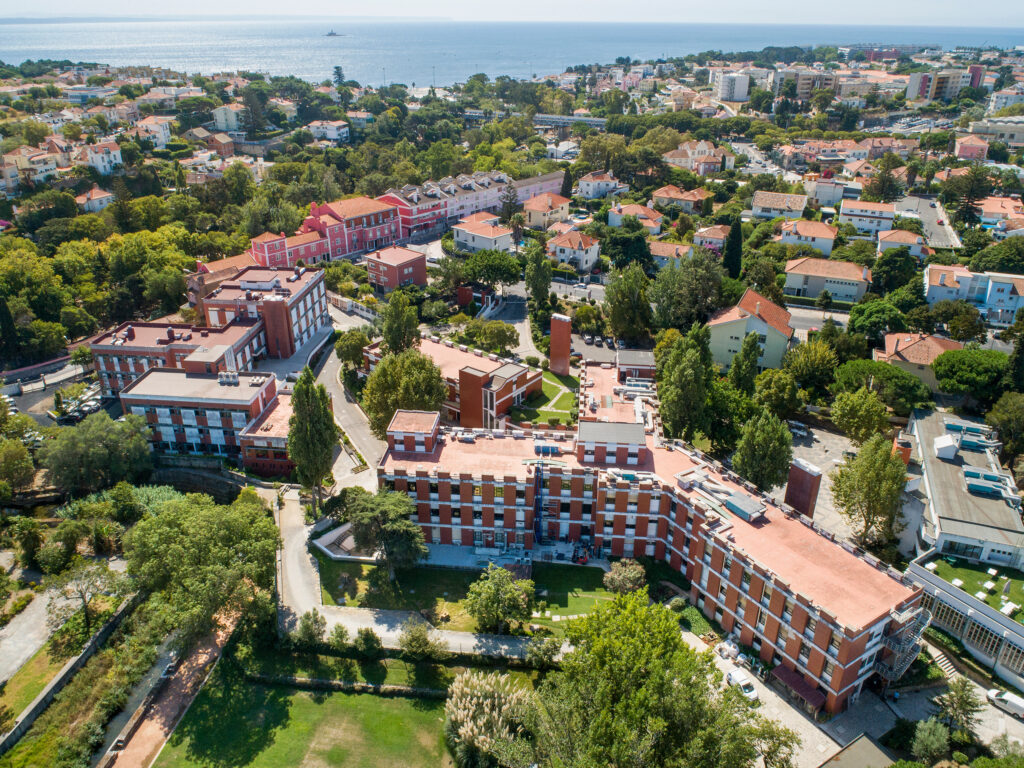 IGC building birds eye view